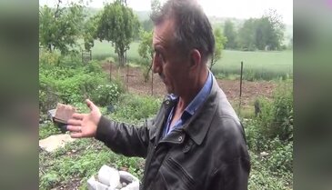 Bursa'da yaşlı adamın katili: Arılar!