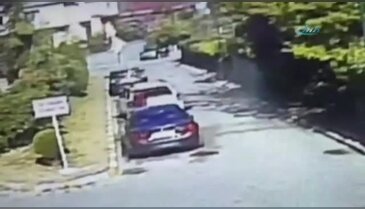Komşusunun köpeğini önce bayılttı sonra kaçırdı