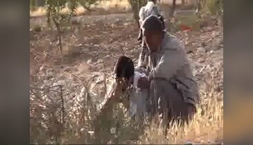 Şanlıurfa'ya şehit ateşi düştü