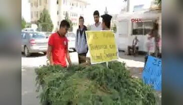 Başlık parası için nohut satıyor