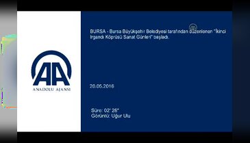 Bursa'da Tarihi Irgandı Köprüsü'nde "Sanat Günleri" başladı
