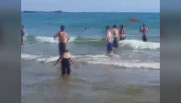 Antalya'da şok! Halatla kıyıya çekildiler
