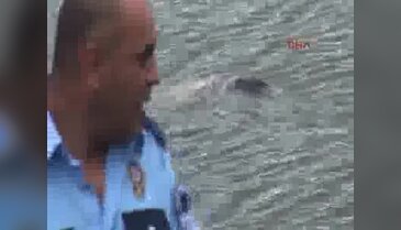 Kayıp adamın cesedi Porsuk Çayı'nda bulundu