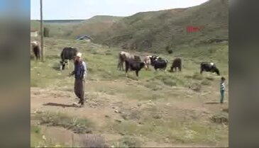 Hayvansal atıklar su kaynaklarını kirletti