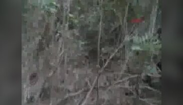 Muğla Datça'da polisten uyuşturucu operasyonu