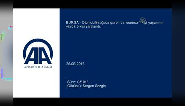 Bursa'da otomobil ağaca çarptı: 1 ölü 3 yaralı
