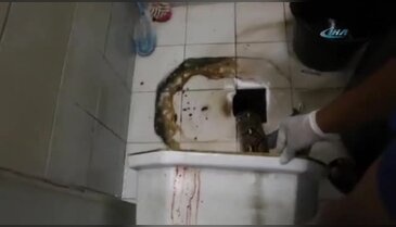Tuvalette piton dehşeti kameralara yansıdı!