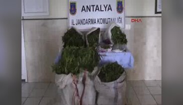Jandarmadan uyuşturucu operasyonu