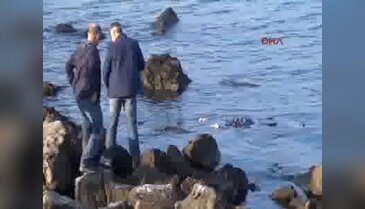Zonguldak Ereğli'de denizde kadın cesedi bulundu