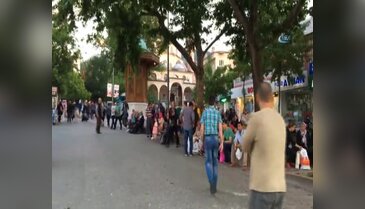 Bursa'da ağaçta can çekişen kuş için seferber oldular