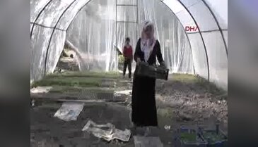Toprağın bereketiyle aile bütçesine katkı sağlıyor
