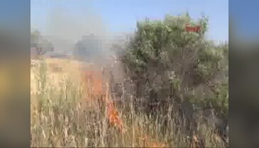 İzmir'de yangın tarım arazzilerine zarar verdi