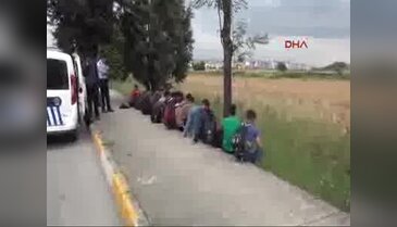 Edirne'de 23 Afganistanlı kaçak yakalandı