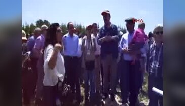 Afrikalı ormancılar Toroslar'da