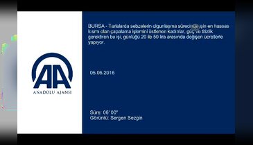 Bursa'nın emektar çapacı kadınları...
