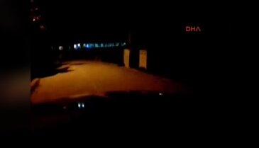 Bursa Uludağ'da ayı ve üç yavrusu çöplerde yiyecek aradı