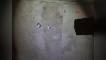Caminin musluklarını çalan 2 çocuk güvenlik kamerasına yansıdı