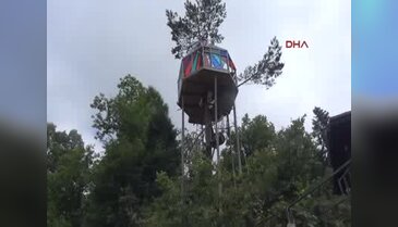 Artvin çam ağacının gövdesine ev yaptı