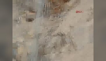 Hakkari'de dağ keçileri tel örgülere takıldı