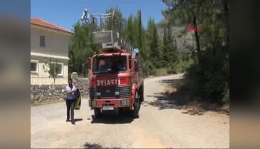 Fethiye'de yağmur suyu borusuna sıkışan anne ve yavru kaplumbağa kurtarıldı