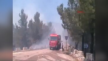 Datça'da alevler 1 hektar kızılçam ormanını küle çevirdi