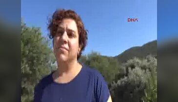 Bodrum'da ufo heyecanı