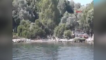 Marmaris'te koydan bir saatte 60 torba çöp toplandı