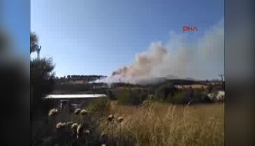 Çanakkale'de tarlada başlayan yangın ormanlık alana sıçradı