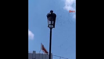 Otobüs durağında arı korkusu