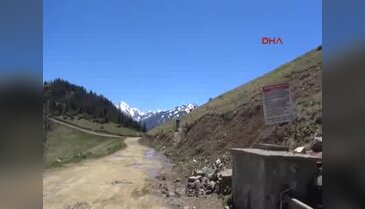 Sal Yaylası'nda yaşam hakkı önceliği hayvanlara ait