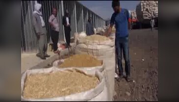 Siverek'te saman pazarı hizmete açıldı