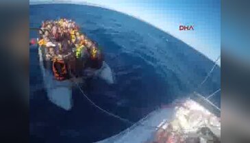 İzmir Dikili'de kaçak göçmenler kurtarıldı