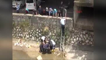 Bursa'da dere yatağında kurtarılmak istemedi
