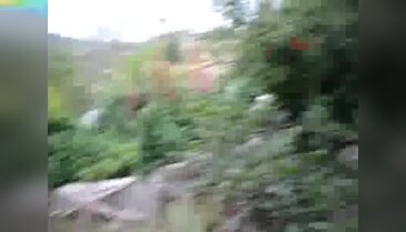 Kumluca'da nar bahçesine Hint keneviri baskını