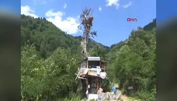 Rizeli arıcının, ayı gözetleme kulesi