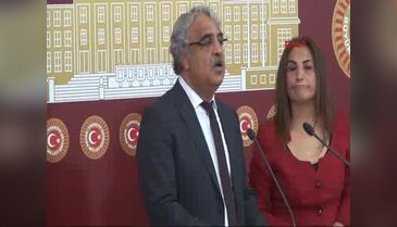 Mithat Sancar ve Aysel Tuğluk TBMM'de basın toplantısı düzenledi  - 3