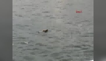 Haliç'te erkek cesedi bulundu