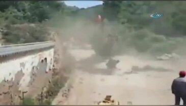 Ağaç intikamını böyle aldı