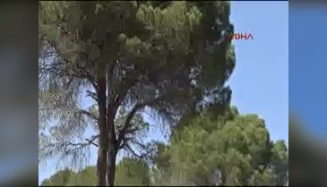 Antalya'nın turizm bölgesi Kundu'da otellere yakın noktadaki orman  alanda yangın başladı - 2