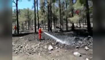 Mersin Mut'ta orman yangını