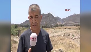 Alevler Bodrum'da 24 saattee 250nhektarlık makilik alanı küle çevirdi