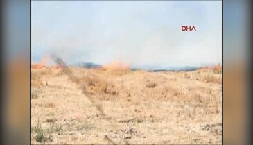 Şanlıurfa'da 50 dönümlük bağday ekili tarla küle döndü
