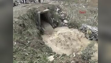 Yüksekova'da koyunlar sele kapıldı - 1