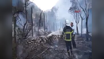 Fethiye- Kabak Köyü'nde yangın
