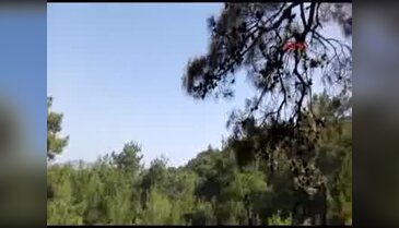 Manavgat'ta orman yangını - 1