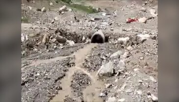 Van Başkale'de aşırı yağışlar sele neden oldu