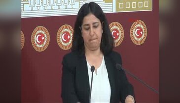 HDP'li Demirel; Hepimiz aynı ifadeyi vereceğiz orada - 3