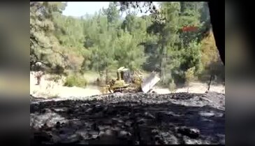 Manavgat'ta orman yangını - 3