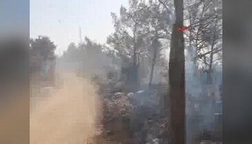 Silifke'de orman yangını