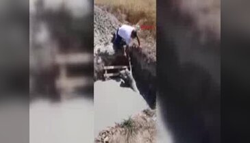 Bursa İnegöl'de yıkımda görevli işçinin dikkati köpek yavrularını telef olmaktan kurtardı